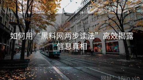 如何用“黑料网两步读法”高效揭露信息真相