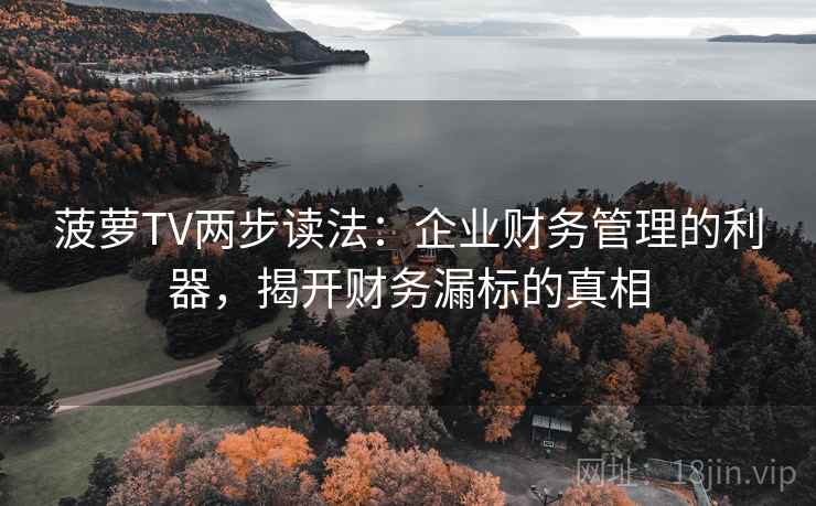 菠萝TV两步读法：企业财务管理的利器，揭开财务漏标的真相